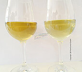 Bild 2 RePrise™ BIO: Inaktive Hefe zum Weinausbau / zur Weinauffrischung